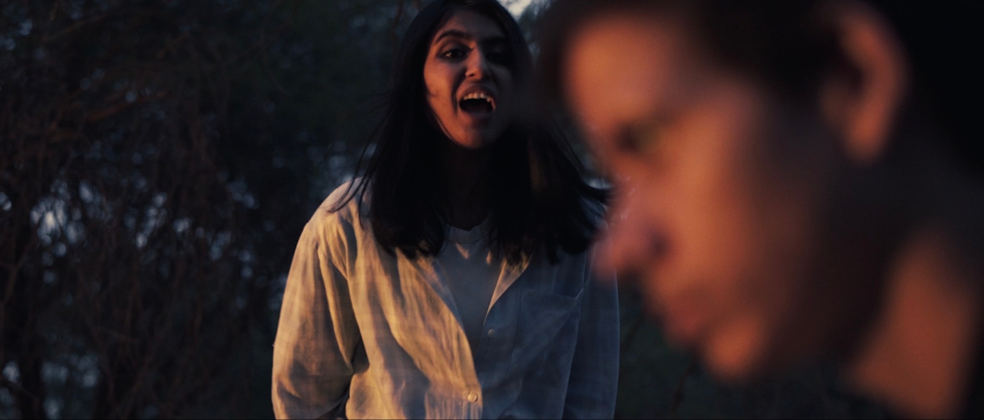 Astitva — frame 1