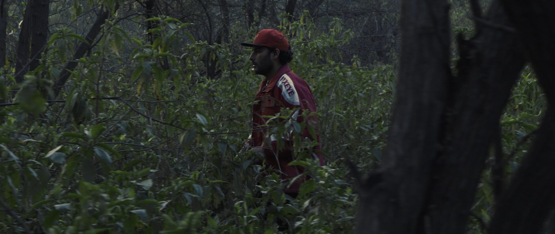 Astitva — frame 14